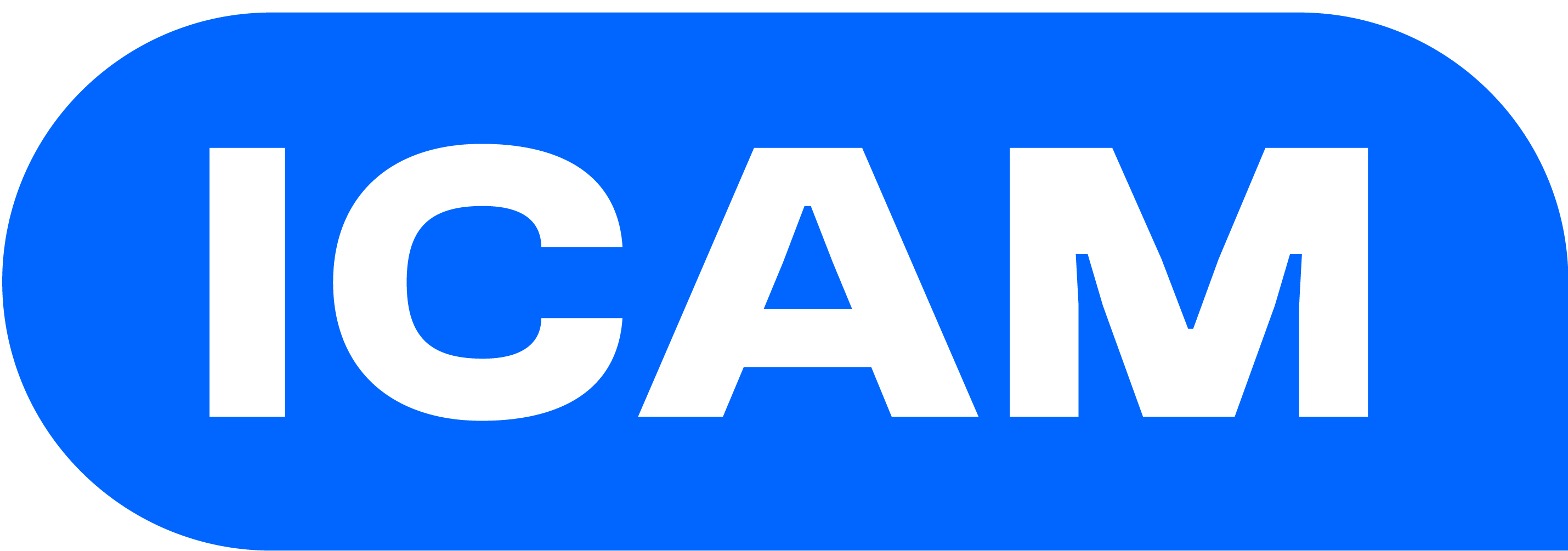 Lista de empleos en Instituto de la Cámara de Comercio de Lima - ICAM